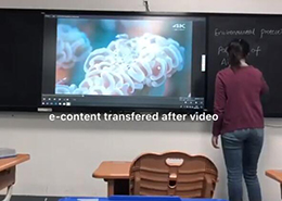 板書教學記憶午夜福利亚洲課堂實用操作